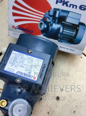 Pedrollo Water Pump 0.5hp/ Quality Pedrollo Water Pump