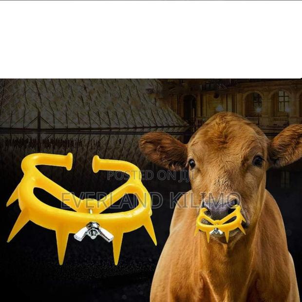 Adjustable Sucking Preventor