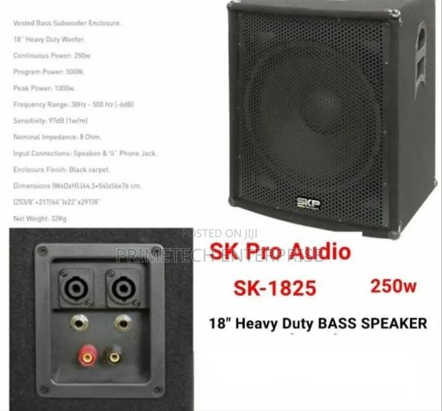 Premier Electric Bass Speaker - main view