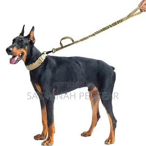 Outdoor Tactical Service Dog Collar and Leash Set