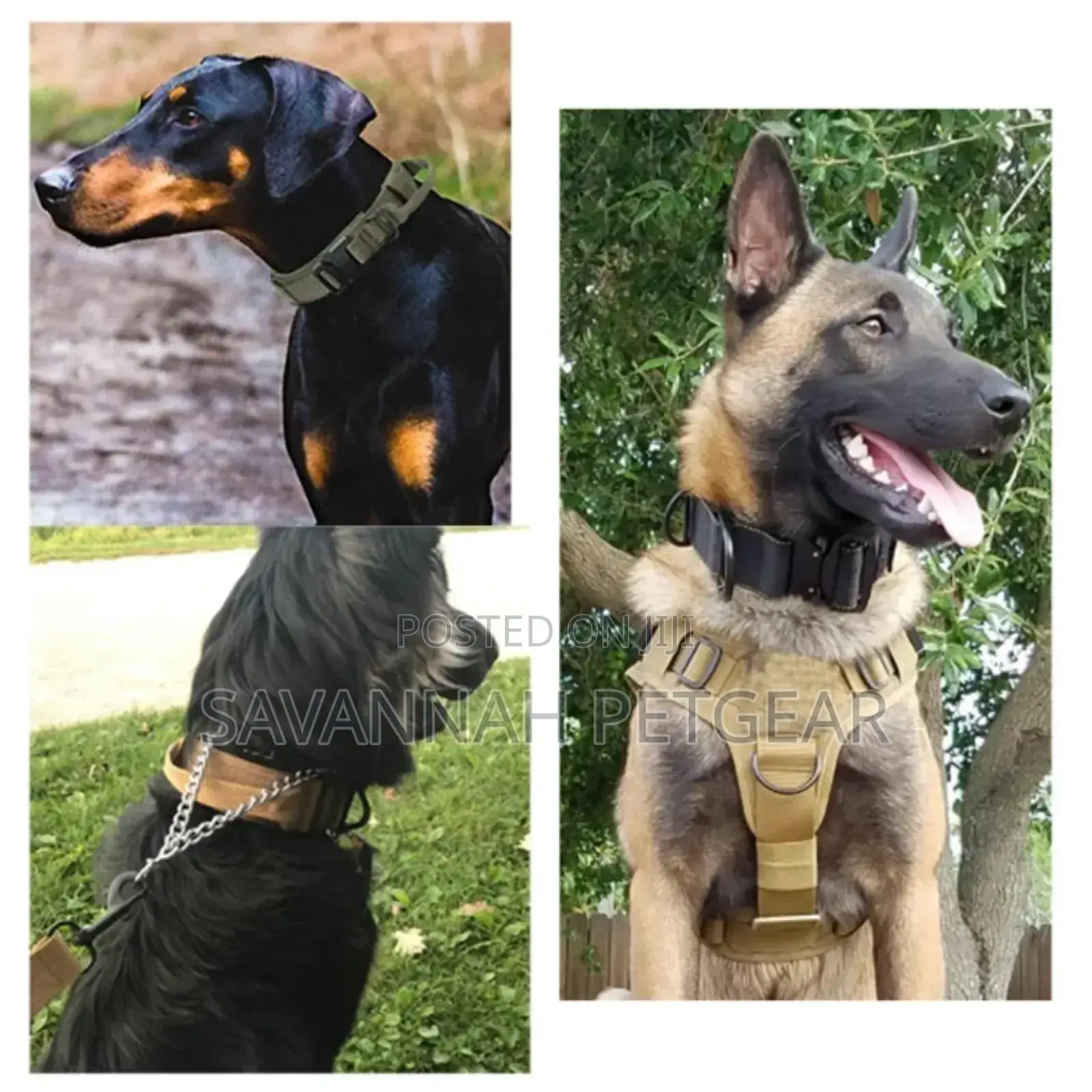 Outdoor Tactical Service Dog Collar and Leash Set