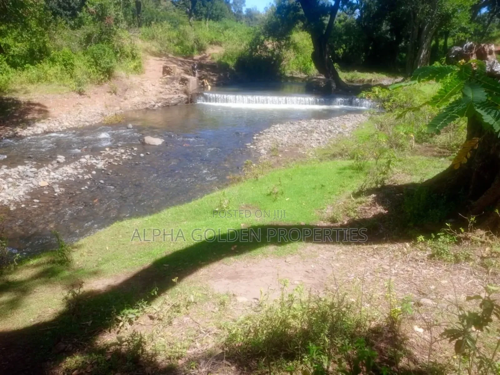 1 Acre Touching River (Daiga)