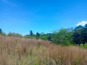 1 Acre Touching River (Daiga)