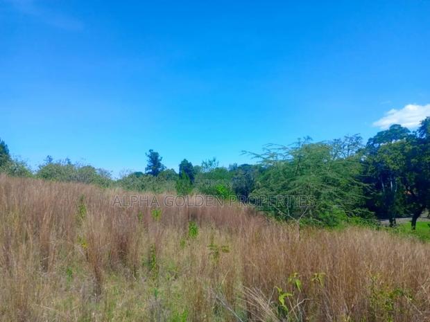 1 Acre Touching River (Daiga) - thumbnail 2