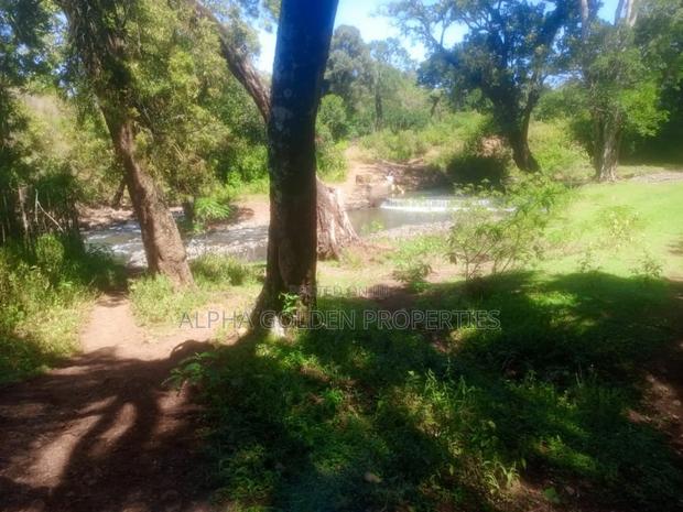 1 Acre Touching River (Daiga) - thumbnail 3