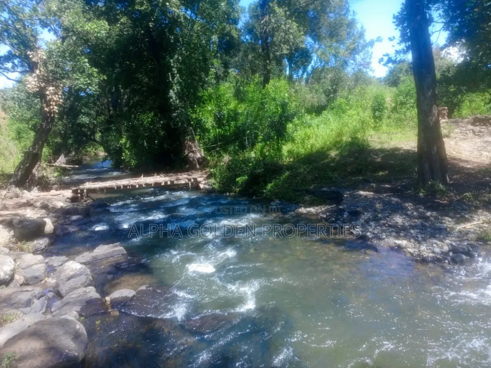 1 Acre Touching River (Daiga)