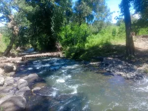 1 Acre Touching River (Daiga)