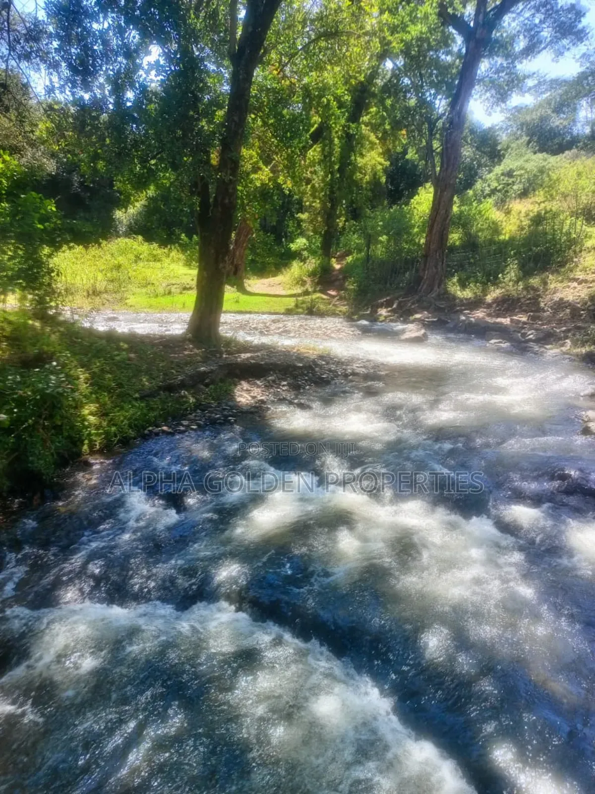 1 Acre Touching River (Daiga)