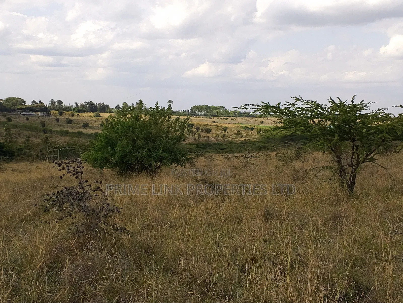 1 Acre Kiserian Pipeline Road - 2.4m