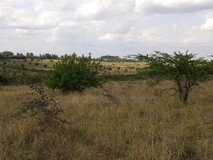 1 Acre Kiserian Pipeline Road - 2.4m