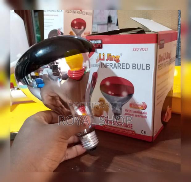 Red Infrared Chicken Bulb - main view