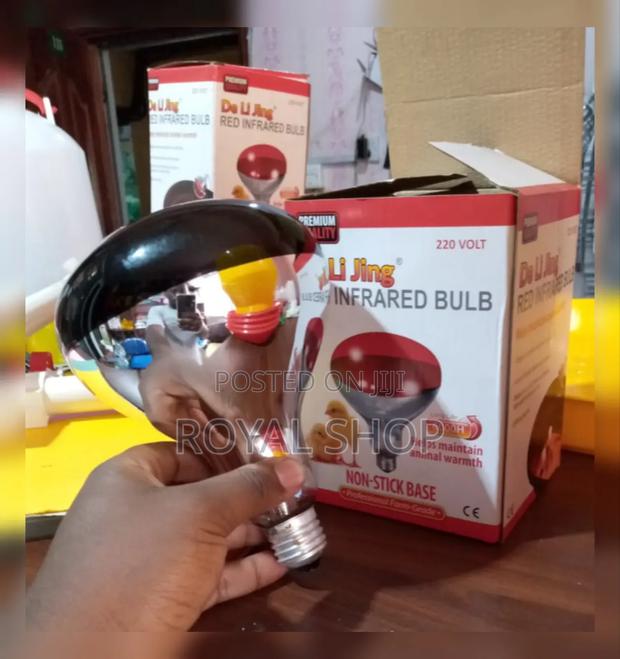 Infrared Chicken Bulb