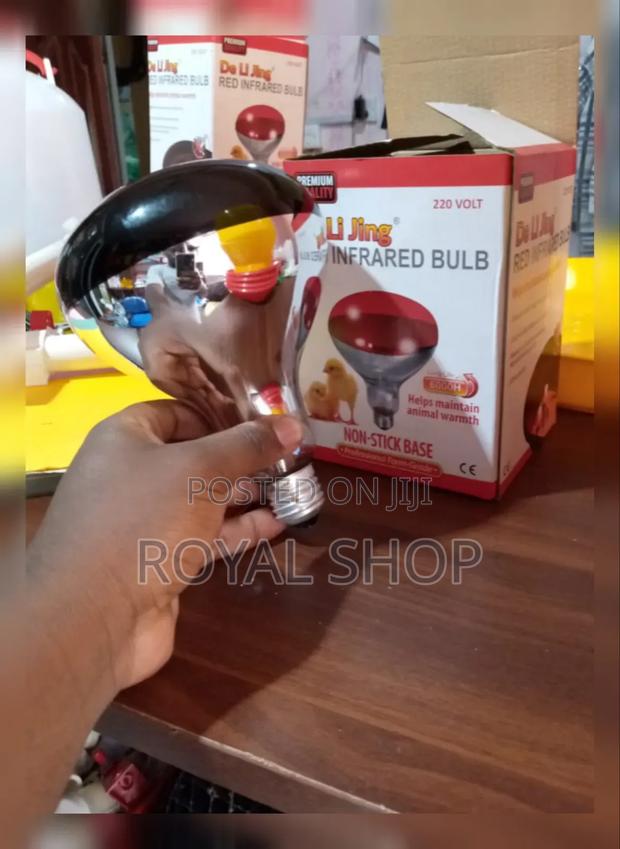 Red Infrared Heat Chicken Bulb