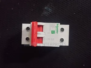 Double Pole Syneider 100 Amps