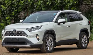 Toyota RAV4 Adventure 2019 White