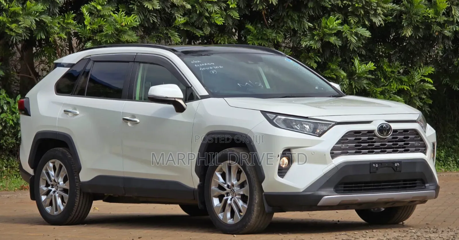 Toyota RAV4 Adventure 2019 White