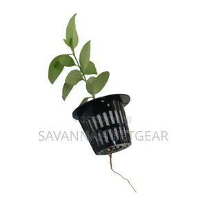 45*45mm Mesh Pot Net Cup Basket For Hydroponic System