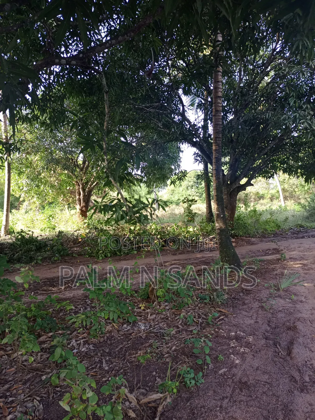 1/4 Acre on Sale in Mvideni Diani