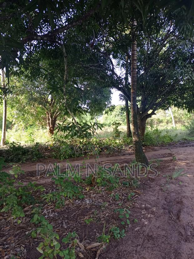 1/4 Acre on Sale in Mvideni Diani - thumbnail 4
