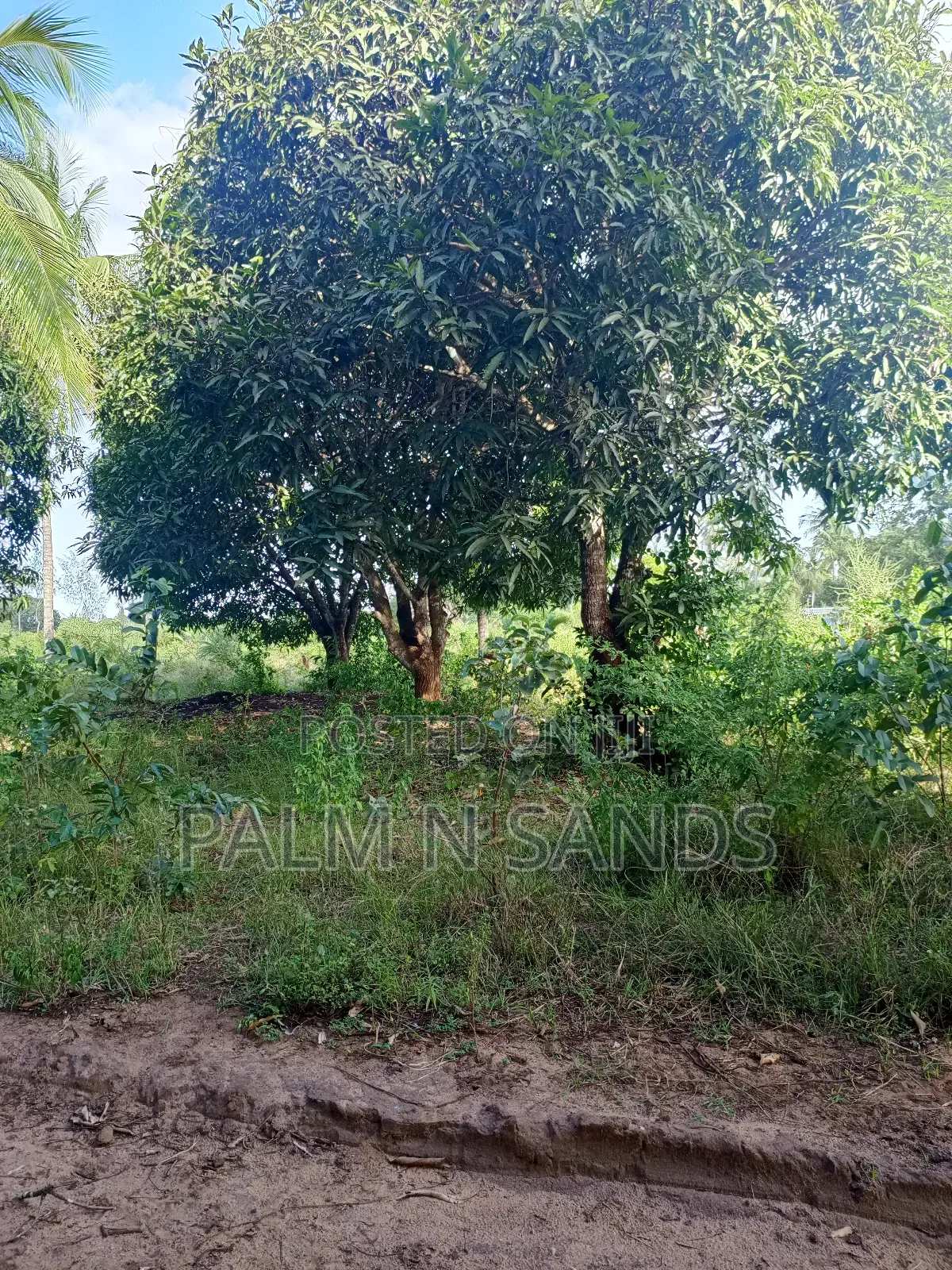 1/4 Acre on Sale in Mvideni Diani