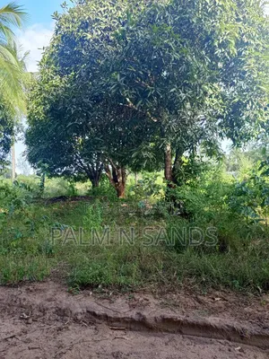 1/4 Acre on Sale in Mvideni Diani