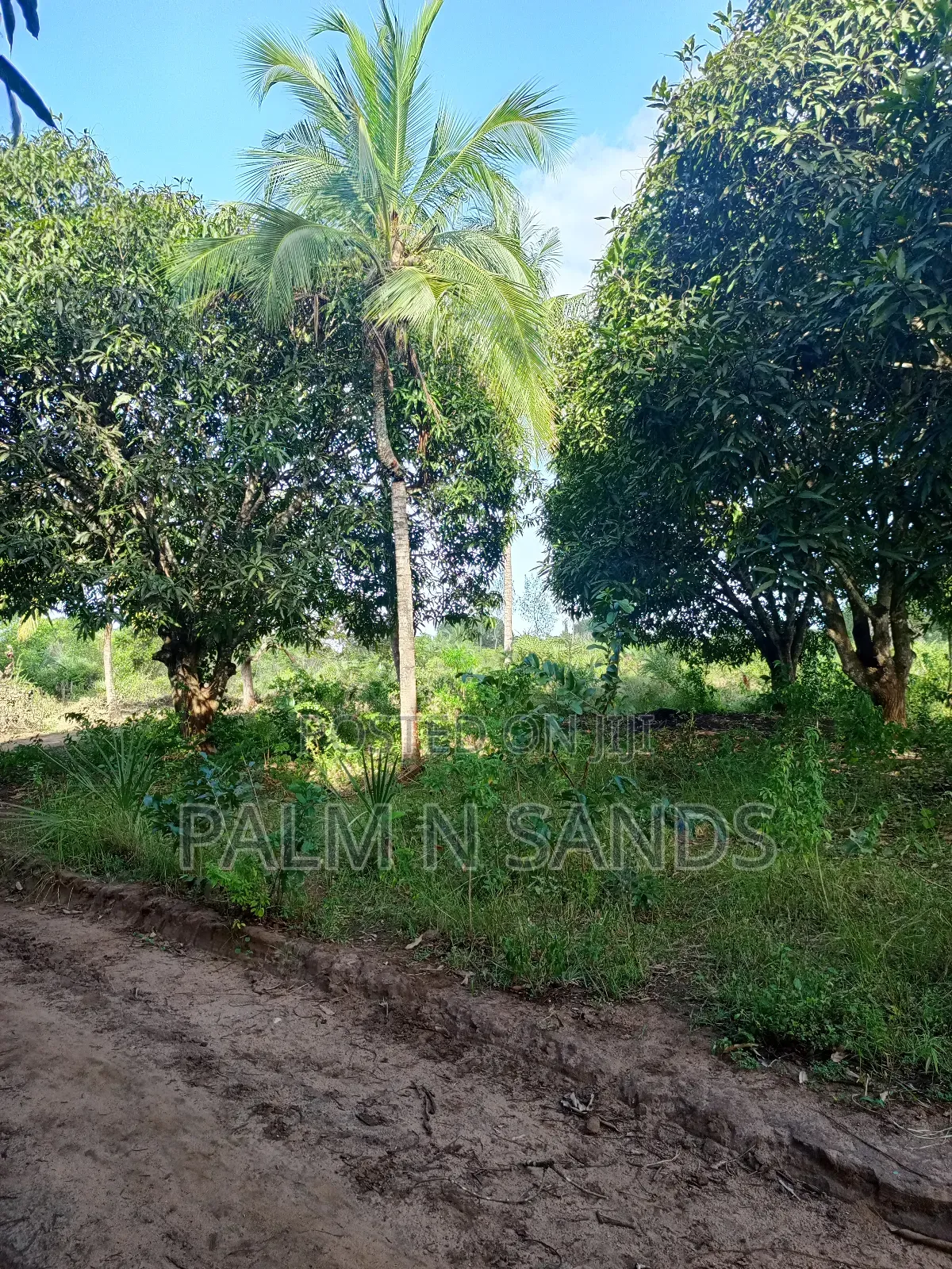 1/4 Acre on Sale in Mvideni Diani