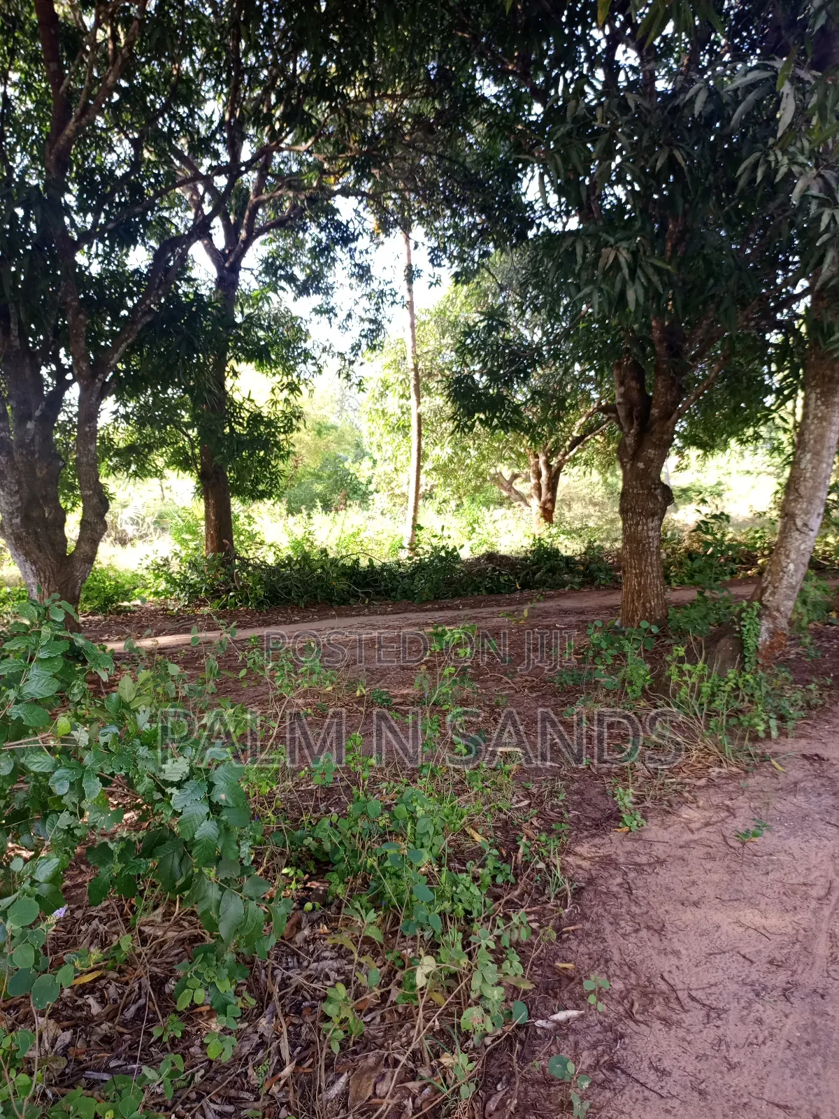1/4 Acre on Sale in Mvideni Diani