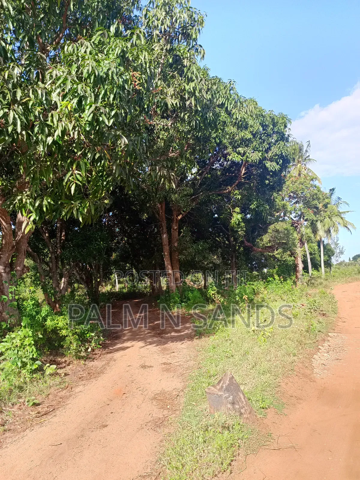 1/4 Acre on Sale in Mvideni Diani