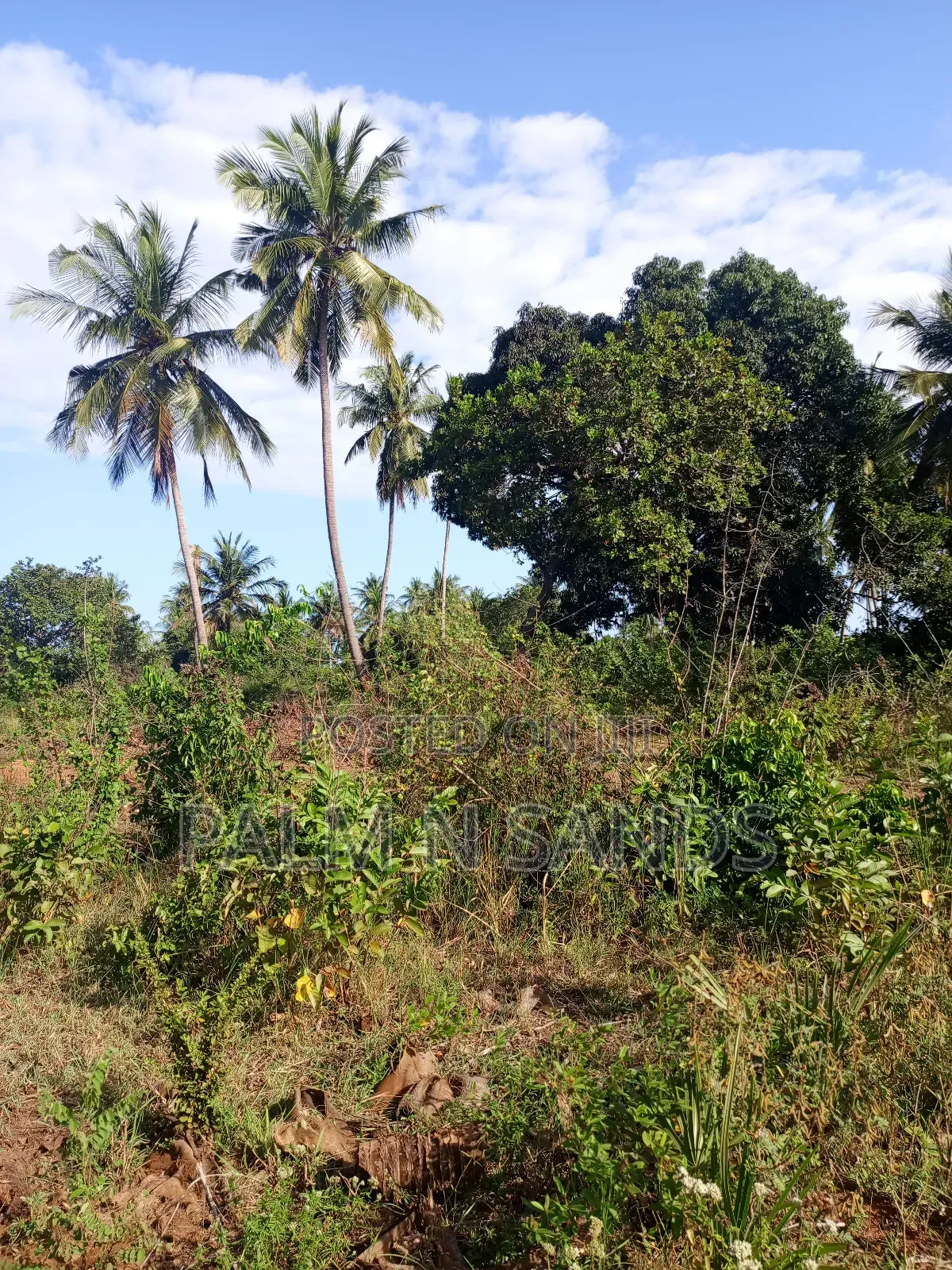 1/4 Acre on Sale in Mvideni Diani
