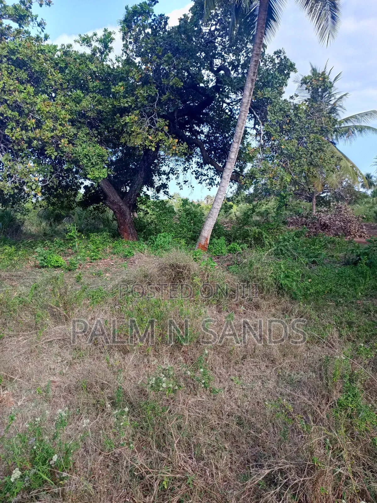 1/4 Acre on Sale in Mvideni Diani