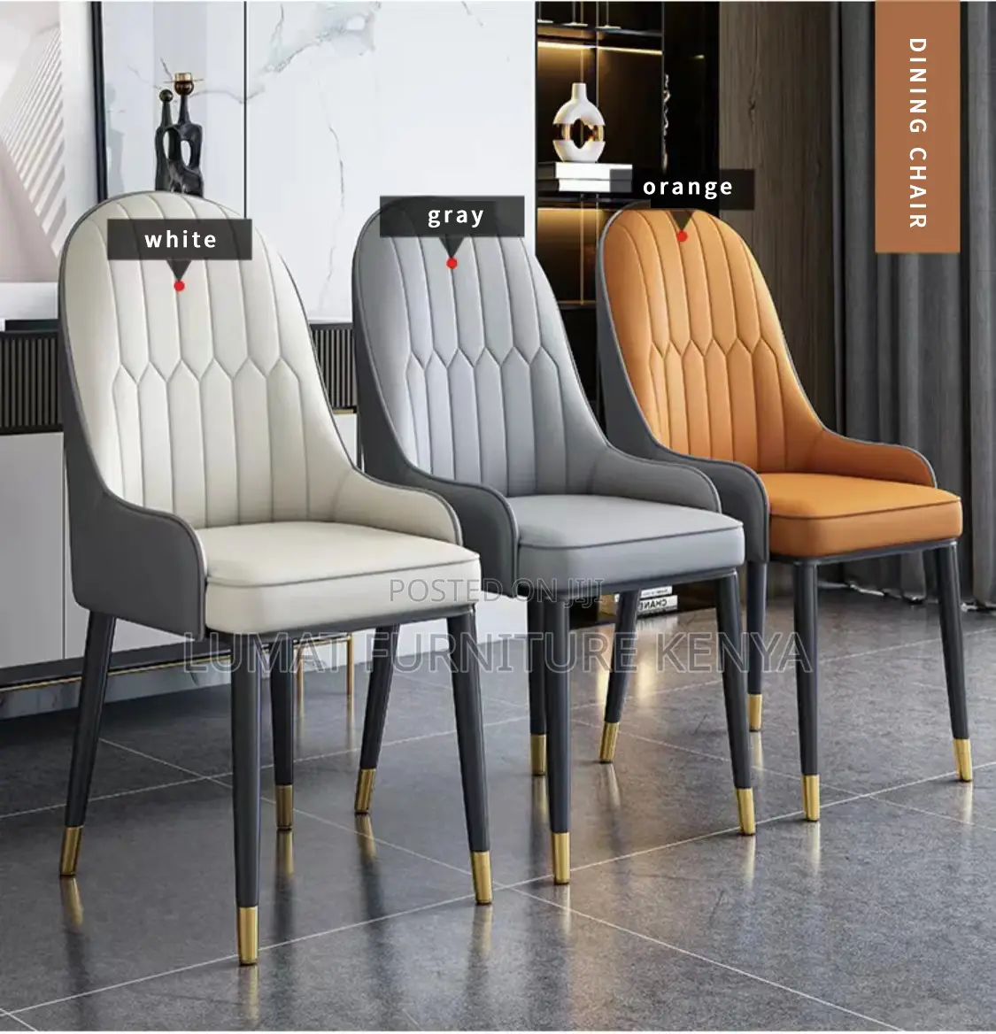 Modern Home/Office Dinning Chair