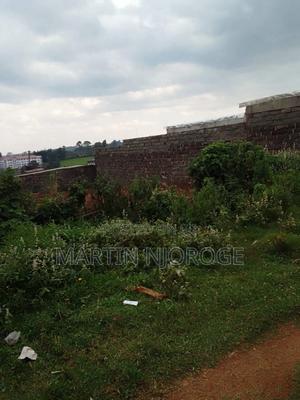 50 by 100 Karajee - thumbnail 2