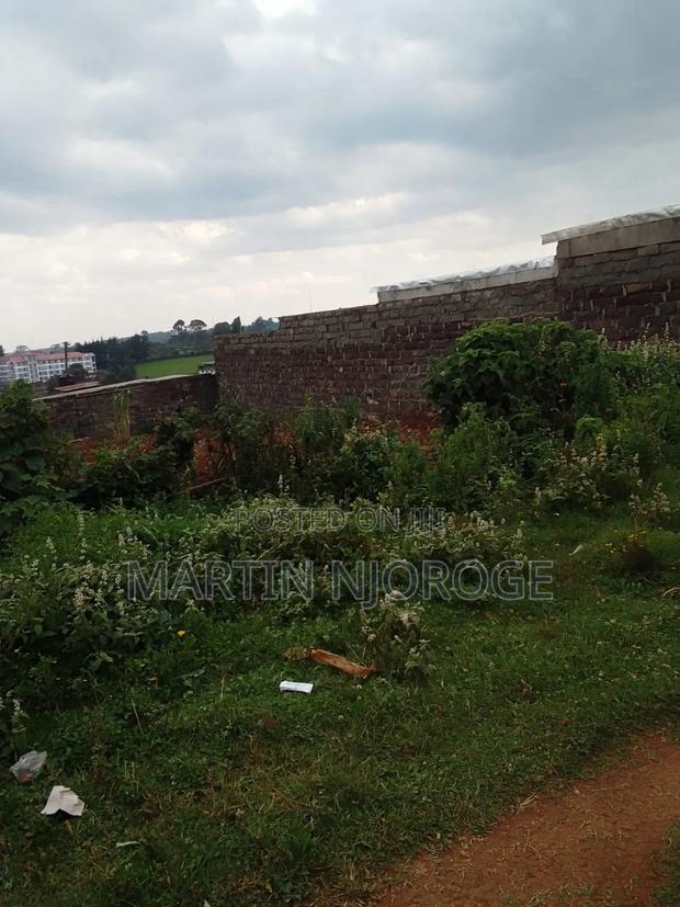 50 by 100 Karajee - main view