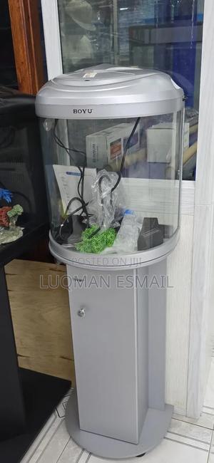 Small Curved Aquarium - thumbnail 2