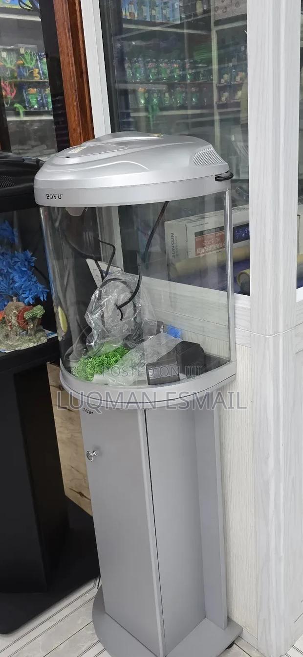 Small Curved Aquarium - thumbnail 3