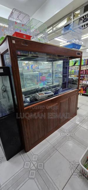 Office Aquariums - thumbnail 2