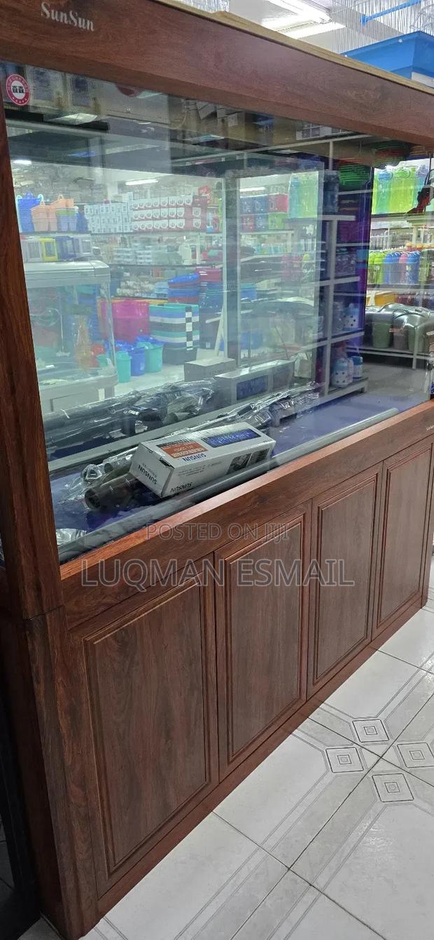 Office Aquariums - thumbnail 3