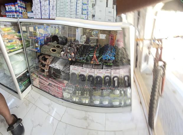 Fishes Accessories - main view