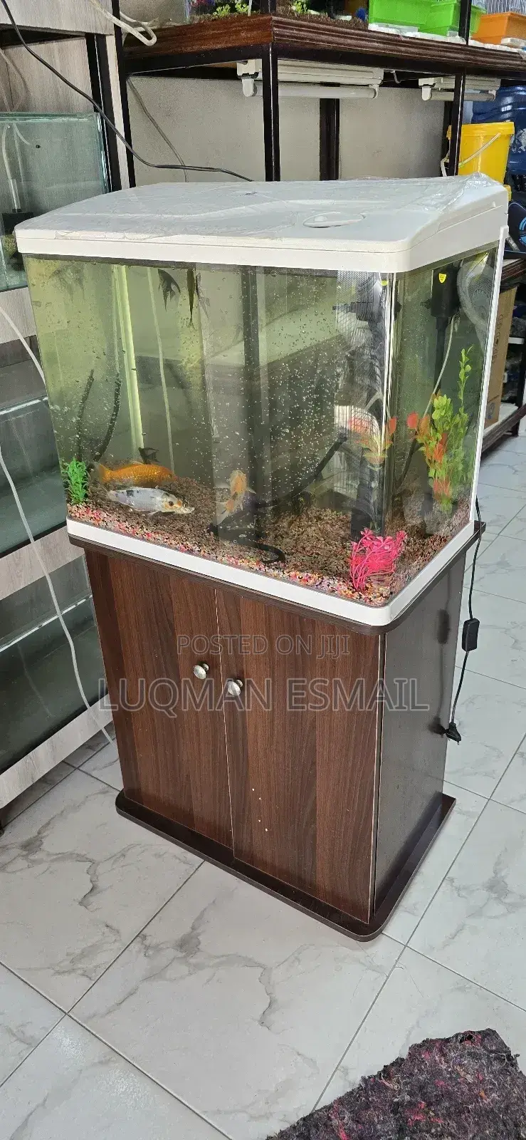 Aquarium Brown