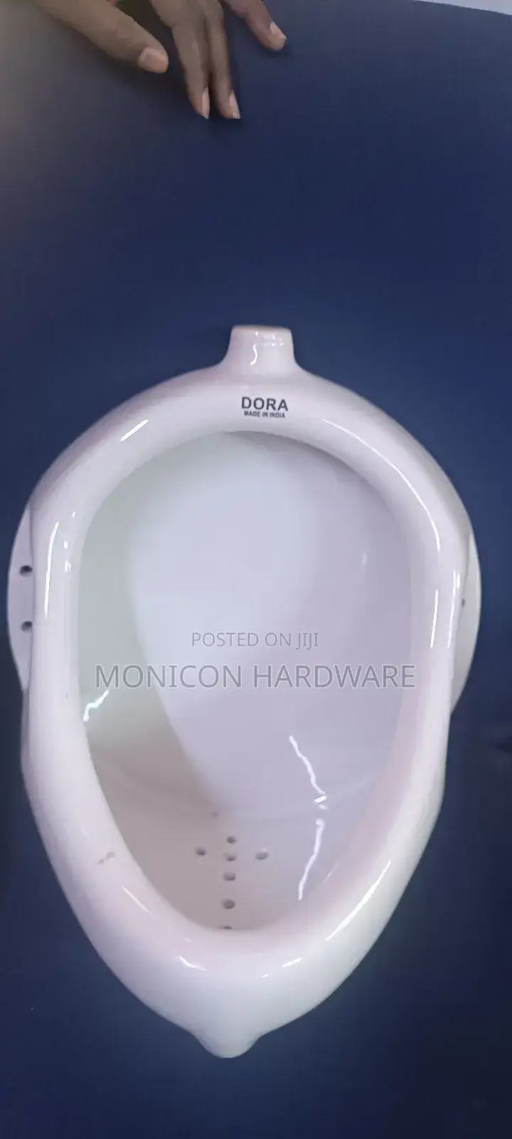 Urinal Bowl -Dora