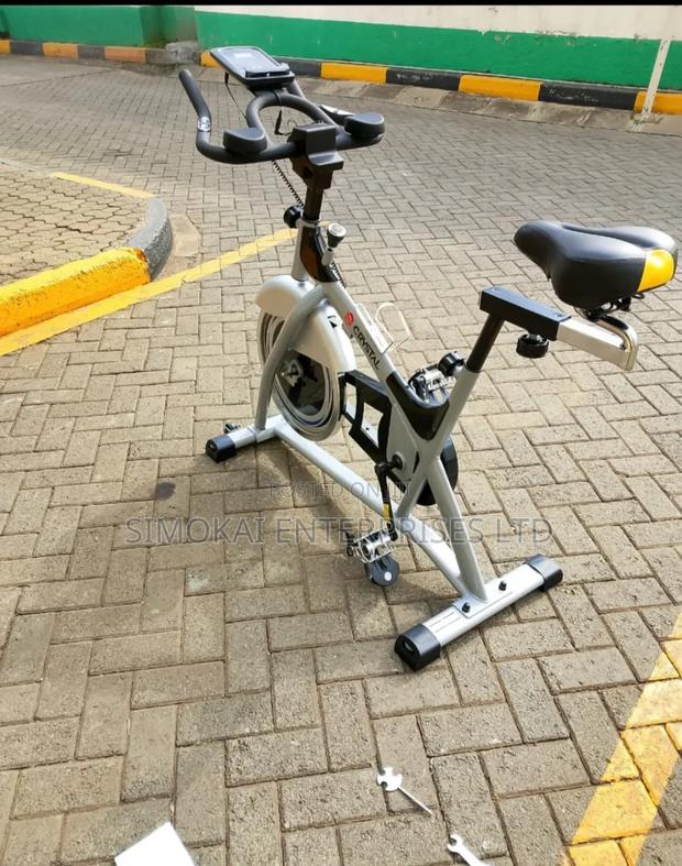 Crystal Spinning Bike Sj 3373