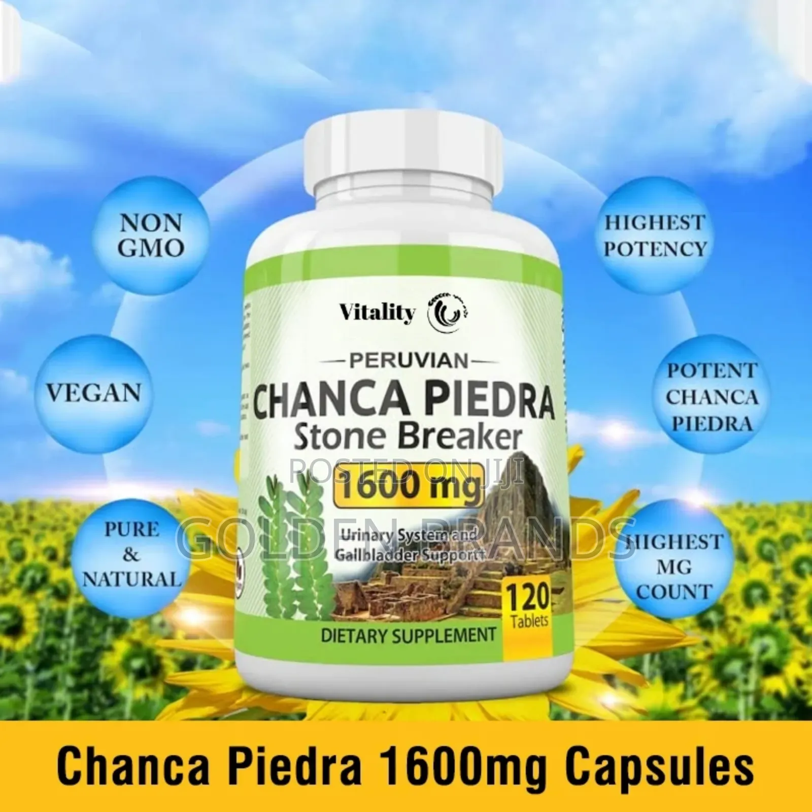 Kidney Stone Breaker Crushing, Peruvian Chanca Piedra 120pcs