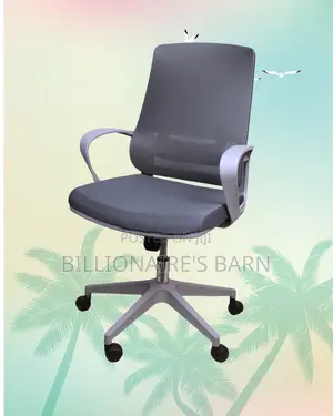 Orthopedic Grey Ergonomic Mesh Office Chair | Lumbar Support