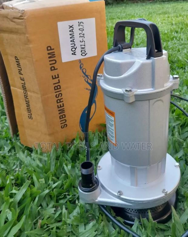 Underground Tank Aquamax Submersible Water Pump 1hp 32 M Up