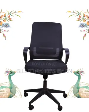 Imported Black Ergonomic Mesh Office Chair | Nylon Castors