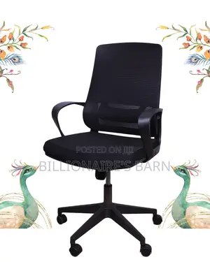 Imported Black Ergonomic Mesh Office Chair | Nylon Castors