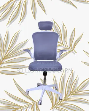 Orthopedic White Ergonomic Office Chair — Relieves Lower Back Pressure