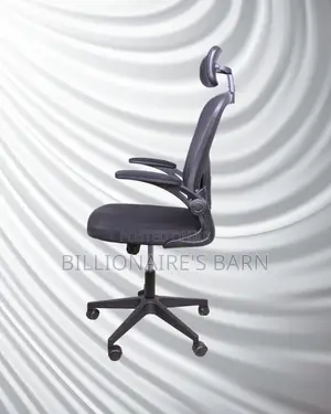Orthopedic Grey Ergonomic Office Chair | Padded Armrests