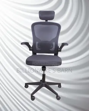 Orthopedic Grey Ergonomic Office Chair | Padded Armrests