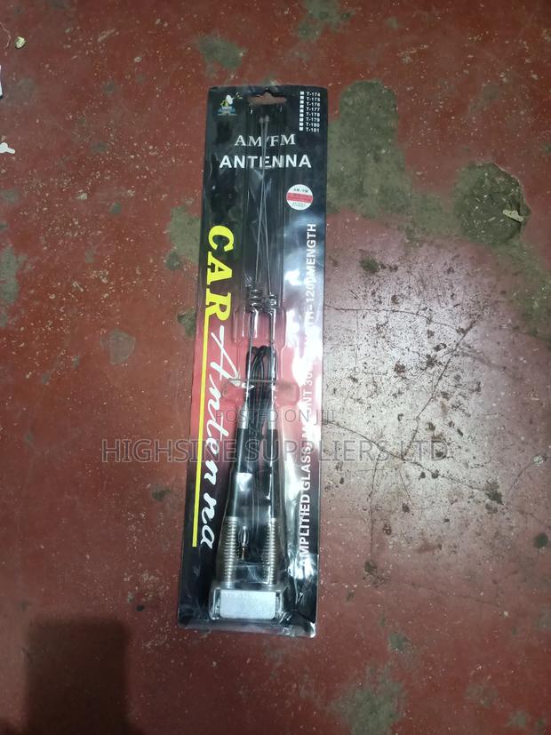 Car Antennae Universal Twin - main view